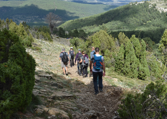 Actividades de la zona .Senderismo en el Parque natural del Desierto de Las Palmas