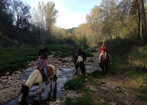 Actividades de la zona .Excursiones a caballo